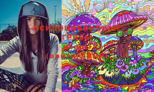 марки lsd Медногорск