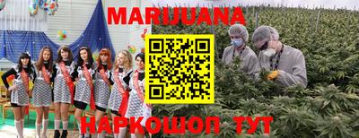 сатива Кизилюрт